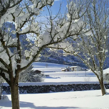Gsenger In Abtenau