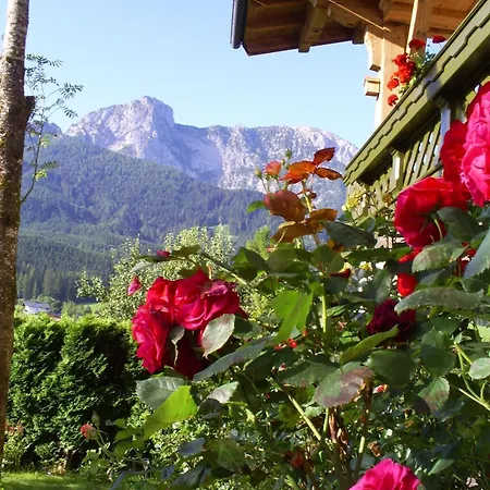 Διαμέρισμα Gsenger In Abtenau
