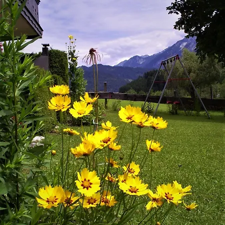 Gsenger In * Abtenau